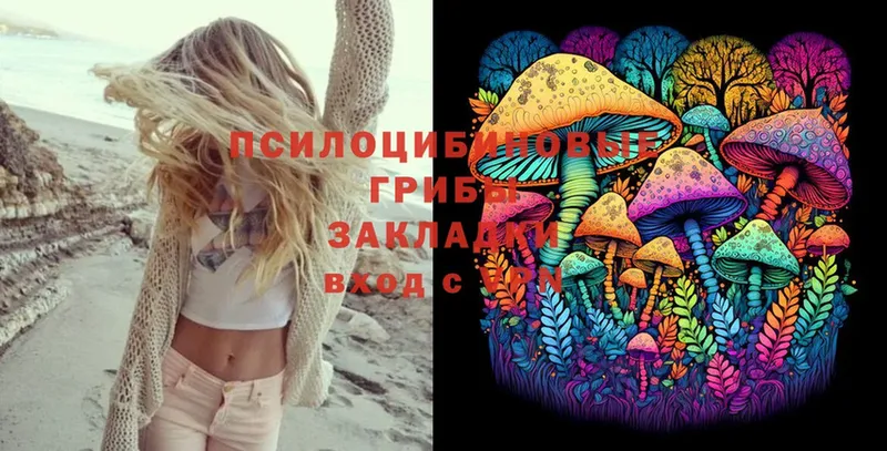 Галлюциногенные грибы Psilocybe  Щёкино 